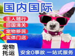 天水麦积山航空物流国际宠物托运 【国